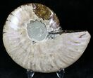 Agatized Ammonite Fossil (Half) #22269-1